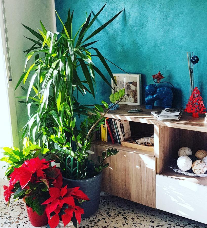 לינה וארוחת בוקר סלרנו Casa Luisa מראה חיצוני תמונה